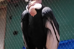 IMG_20241002_1041502